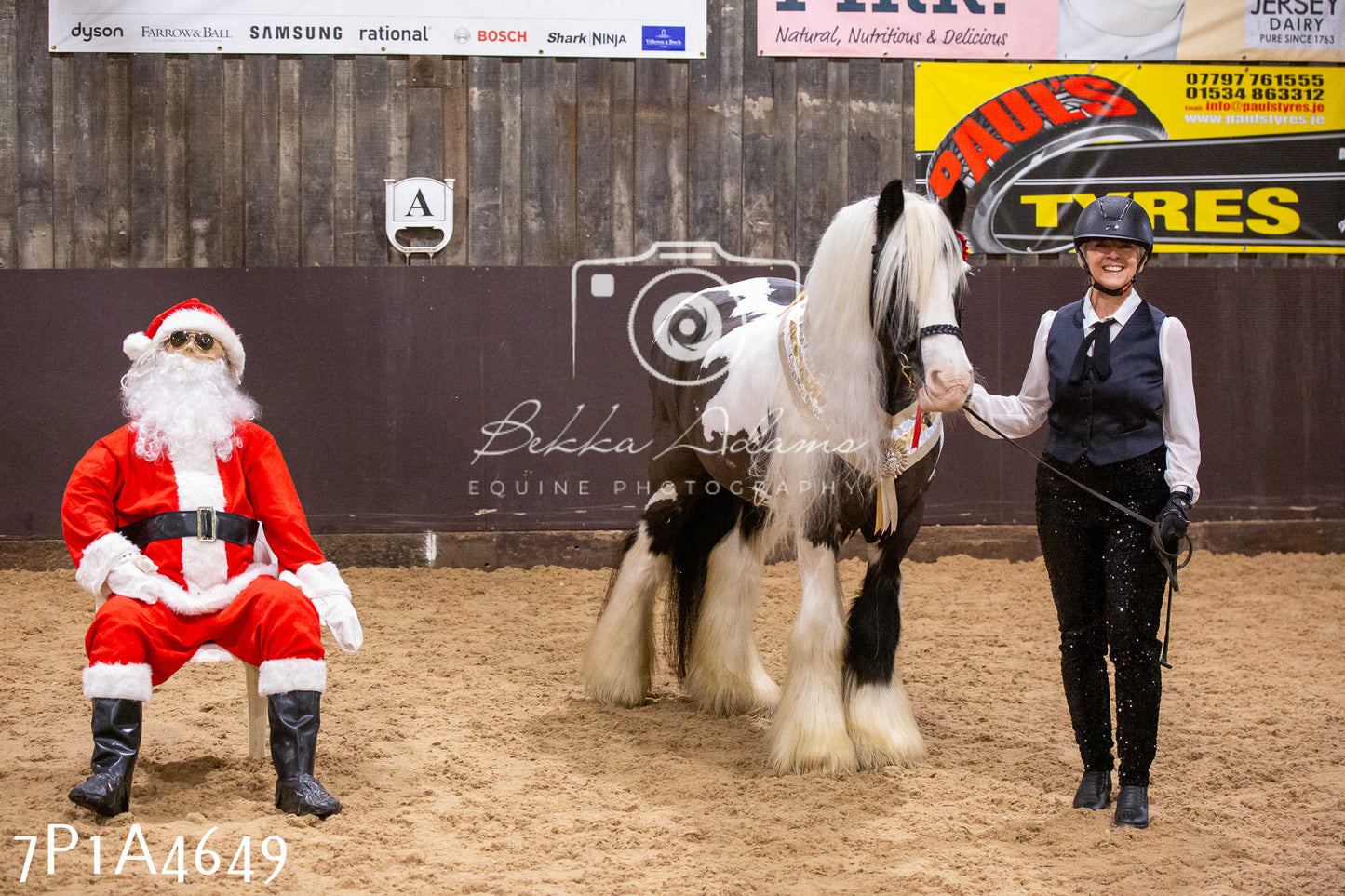 Home Farm Christmas Show 2024 - Inhand (Fun Classes)