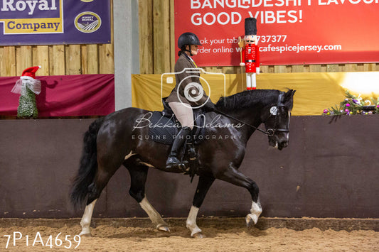 Home Farm Christmas Show 2024 - Ridden