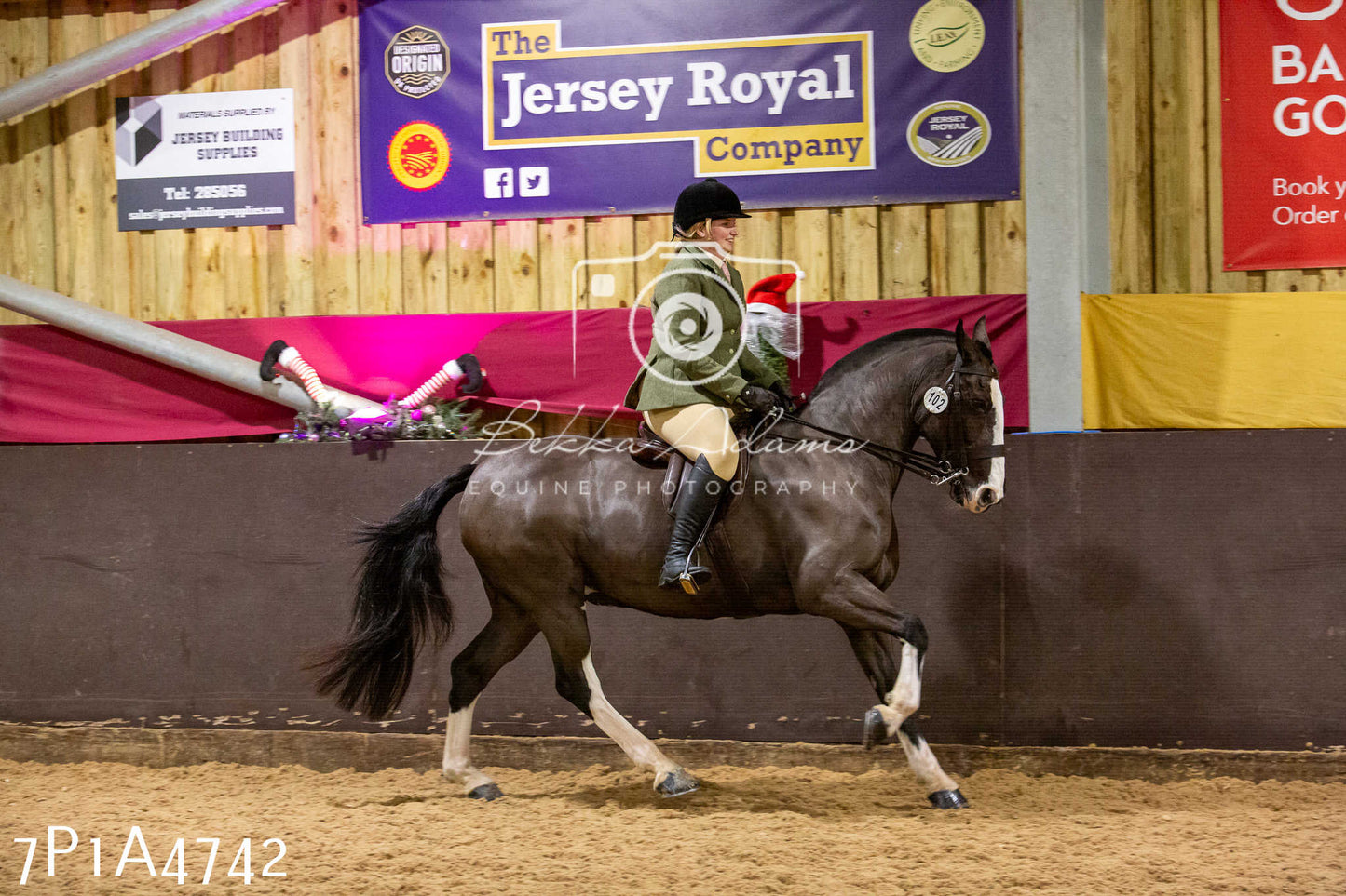 Home Farm Christmas Show 2024 - Ridden