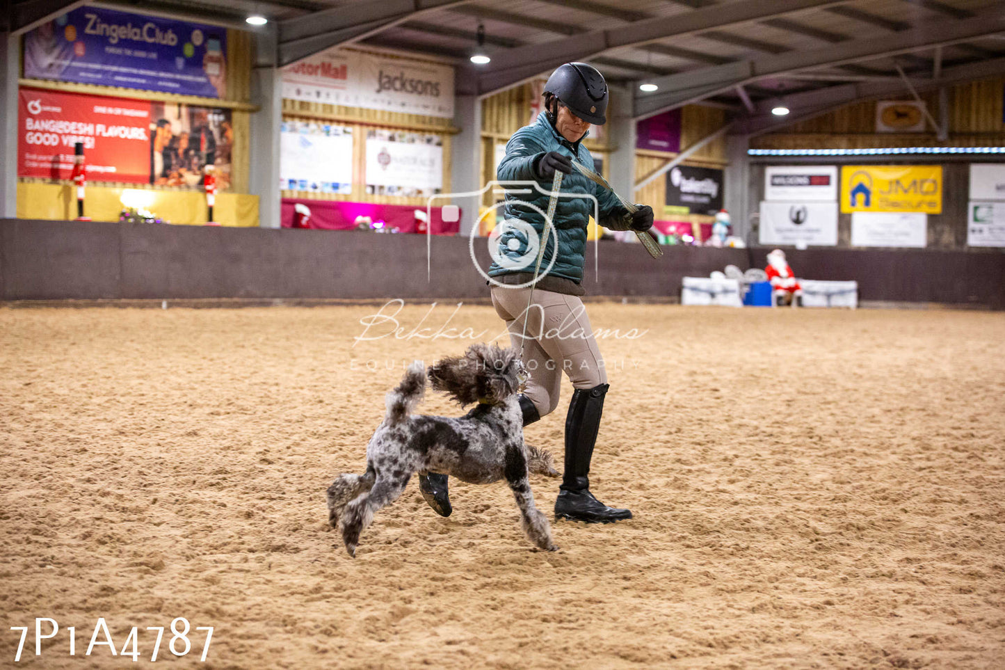 Home Farm Christmas Show 2024 - Ridden