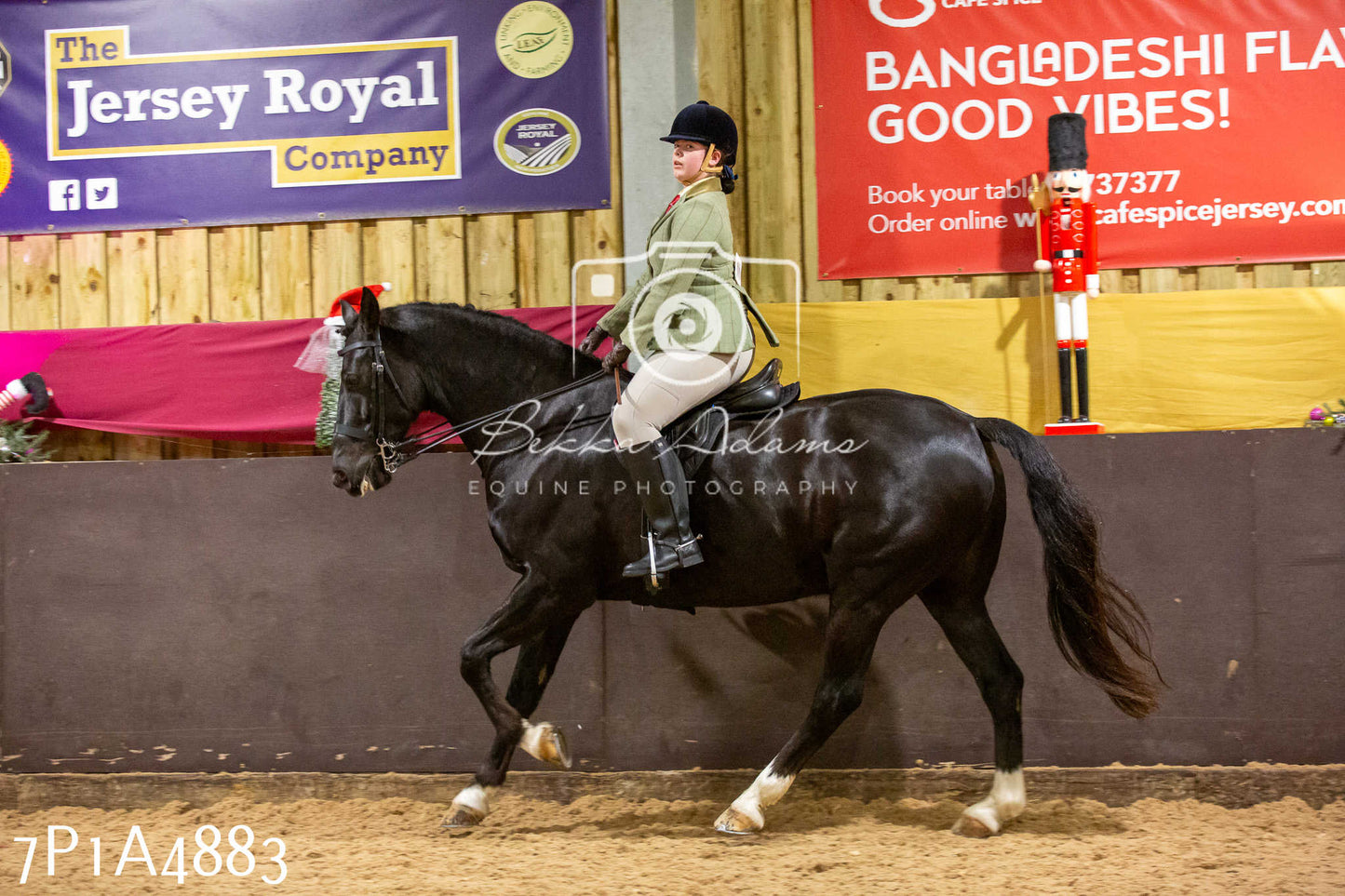 Home Farm Christmas Show 2024 - Ridden