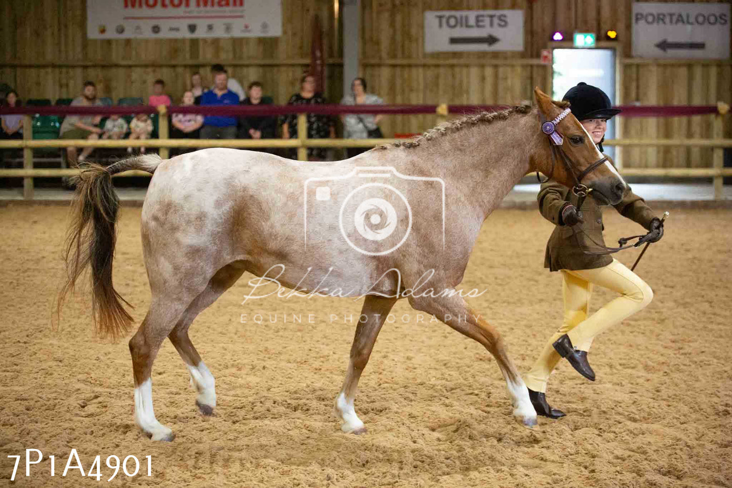 JHOYS 2023 - 10th September - Ridden Showing Pt1