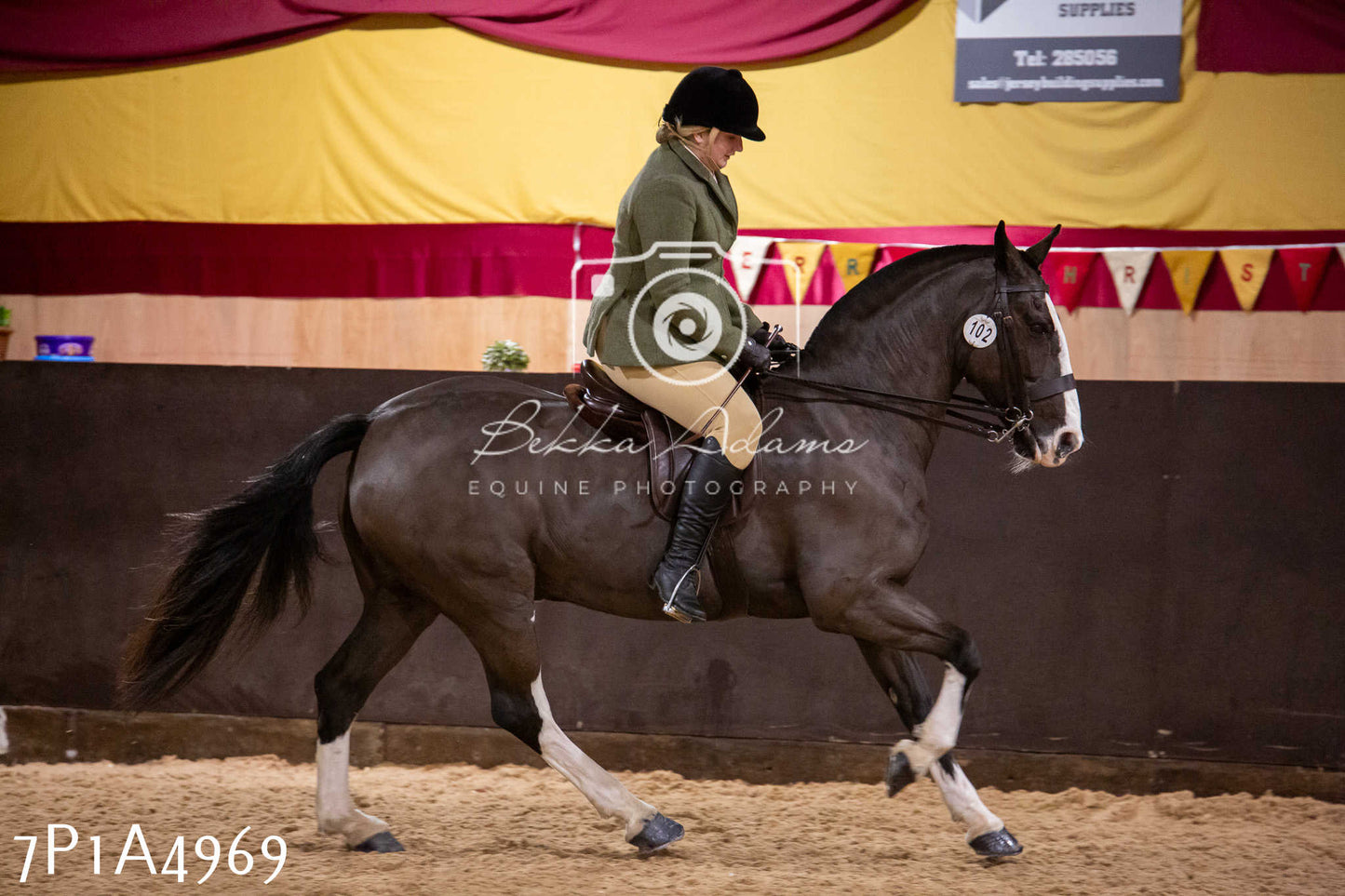 Home Farm Christmas Show 2024 - Ridden