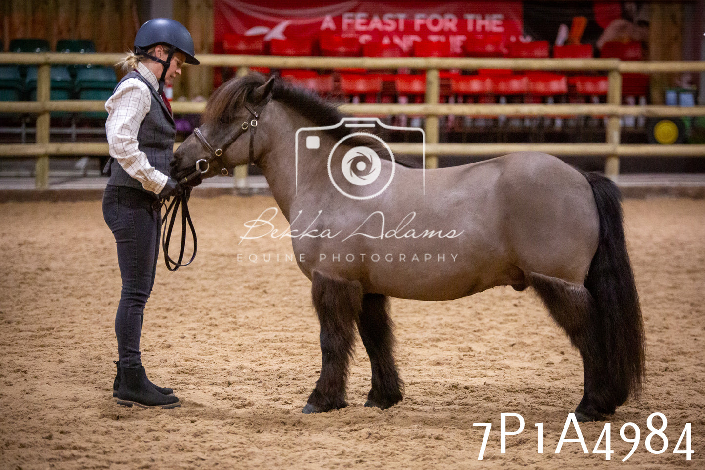 Home Farm Spring Show 2026 - In Hand