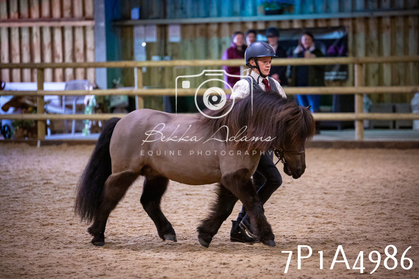 Home Farm Spring Show 2026 - In Hand