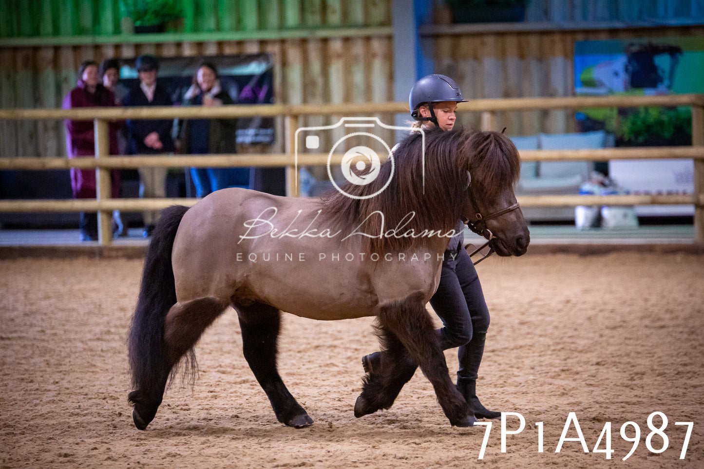 Home Farm Spring Show 2026 - In Hand