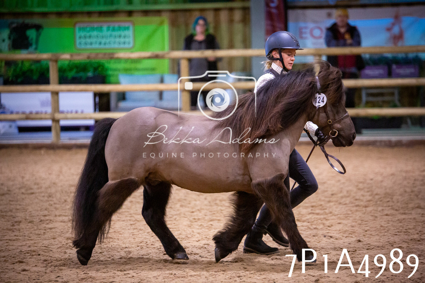 Home Farm Spring Show 2026 - In Hand