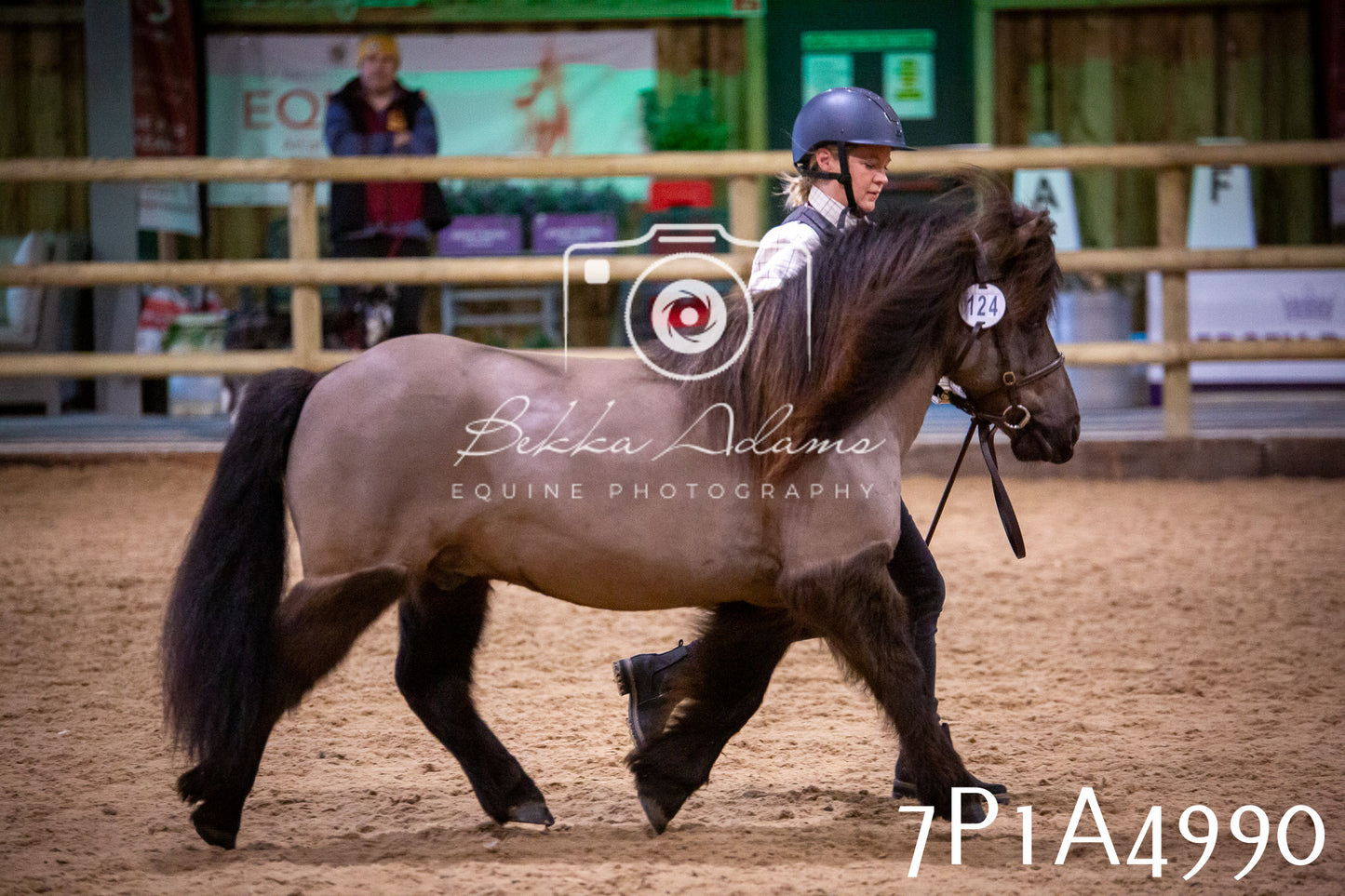 Home Farm Spring Show 2026 - In Hand