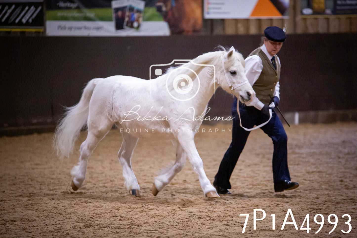 Home Farm Spring Show 2026 - In Hand