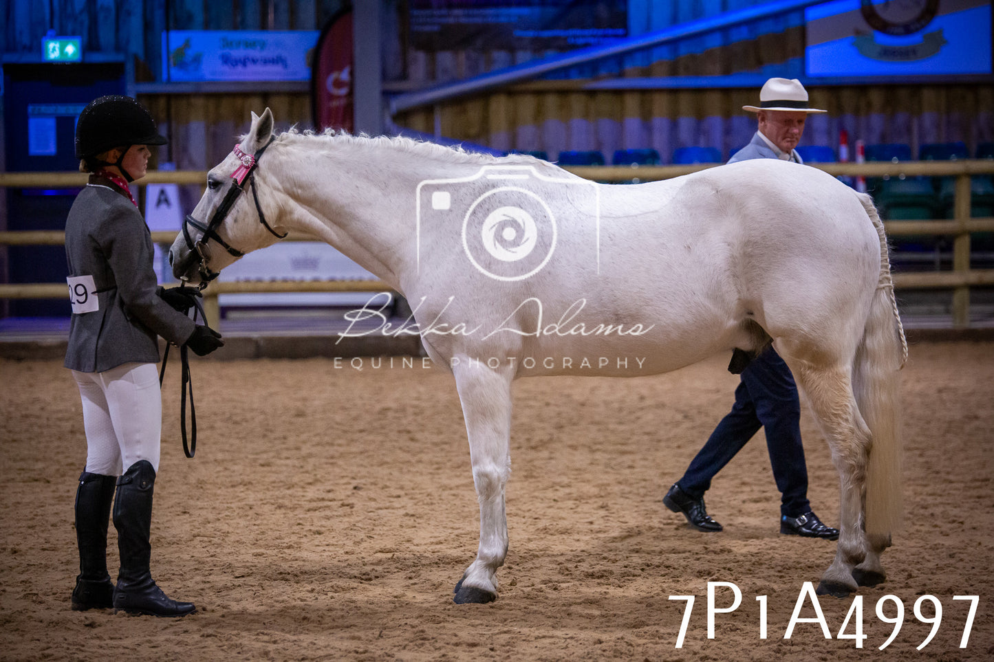Home Farm Spring Show 2026 - In Hand