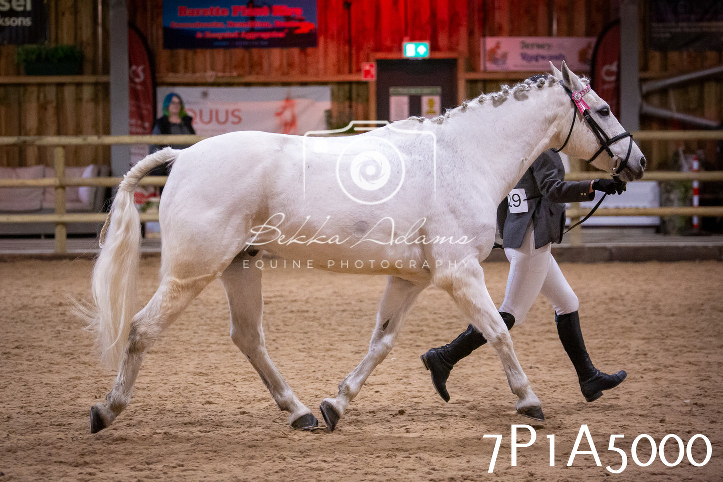 Home Farm Spring Show 2026 - In Hand