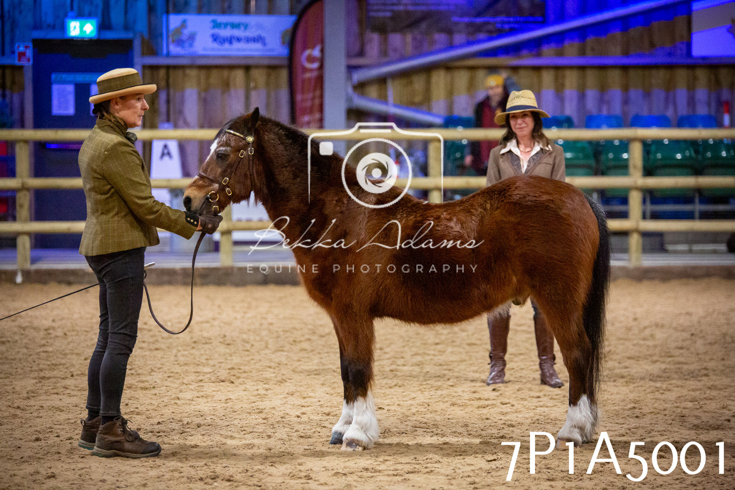 Home Farm Spring Show 2026 - In Hand