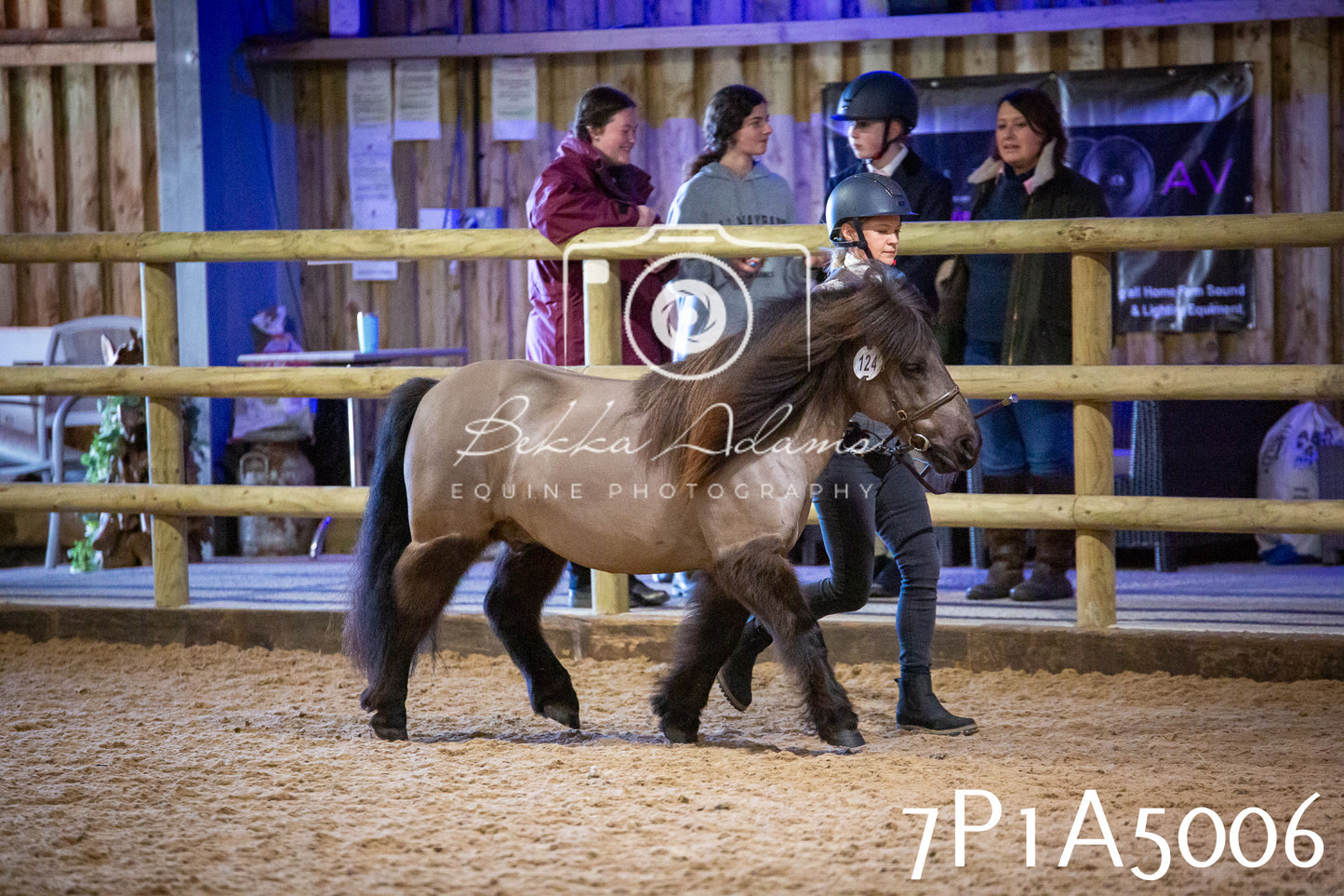 Home Farm Spring Show 2026 - In Hand