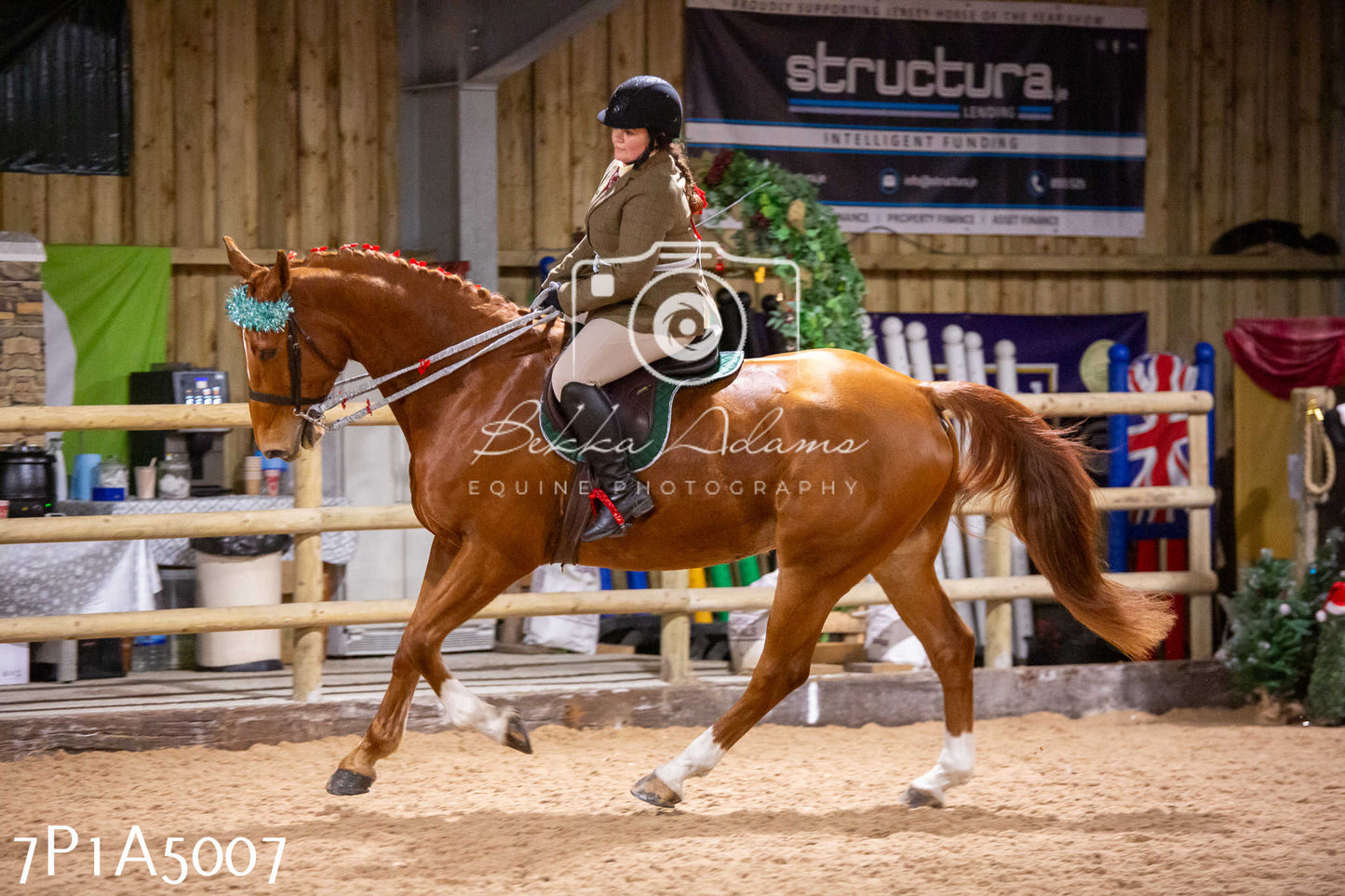 Home Farm Christmas Show 2024 - Ridden