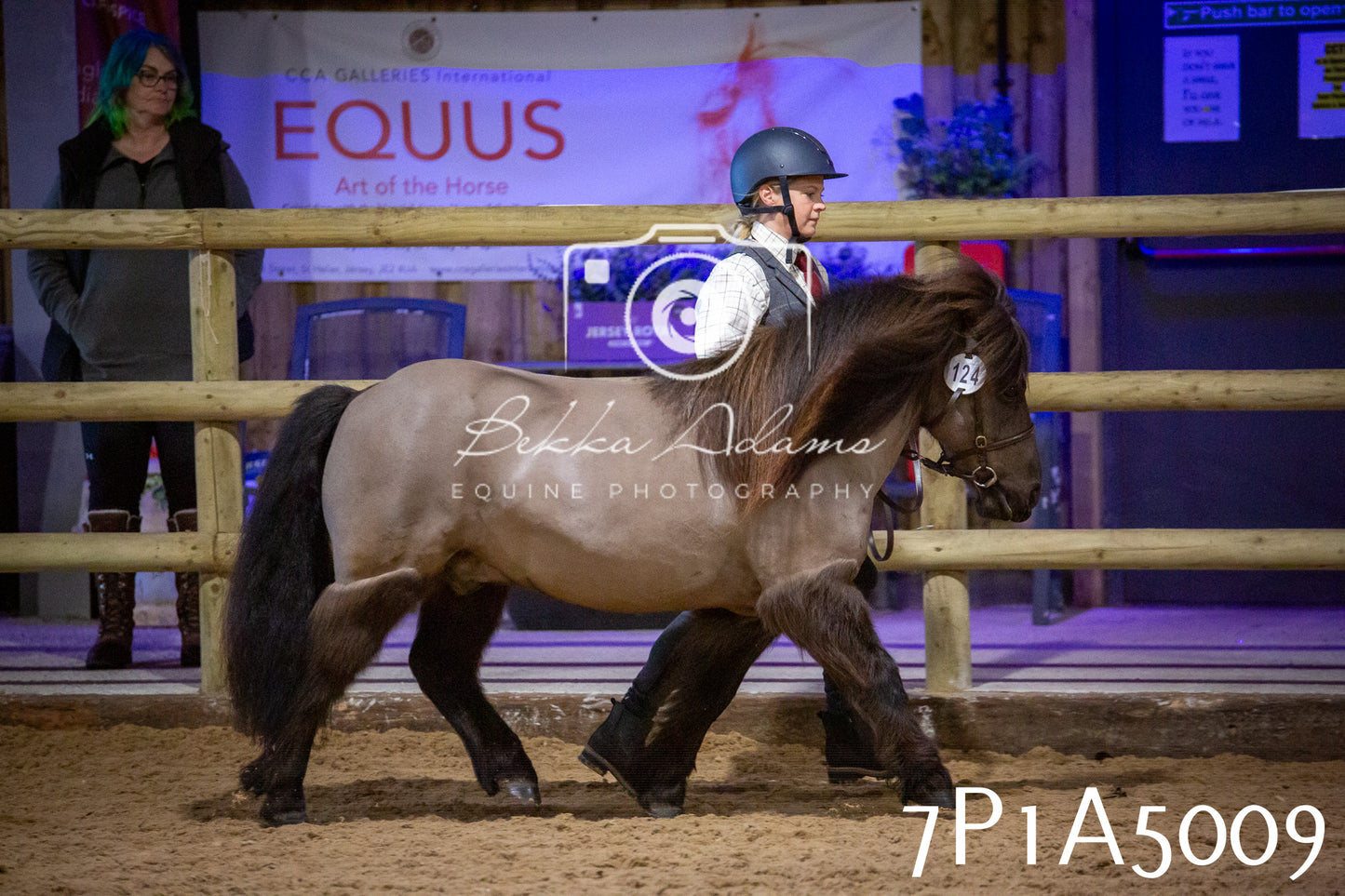 Home Farm Spring Show 2026 - In Hand
