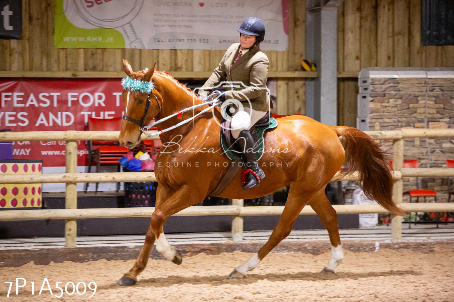 Home Farm Christmas Show 2024 - Ridden