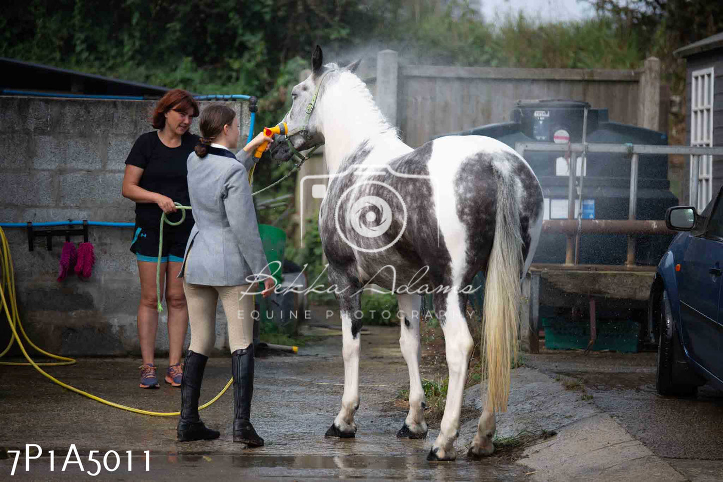 JHOYS 2023 - 10th September - Ridden Showing Pt1