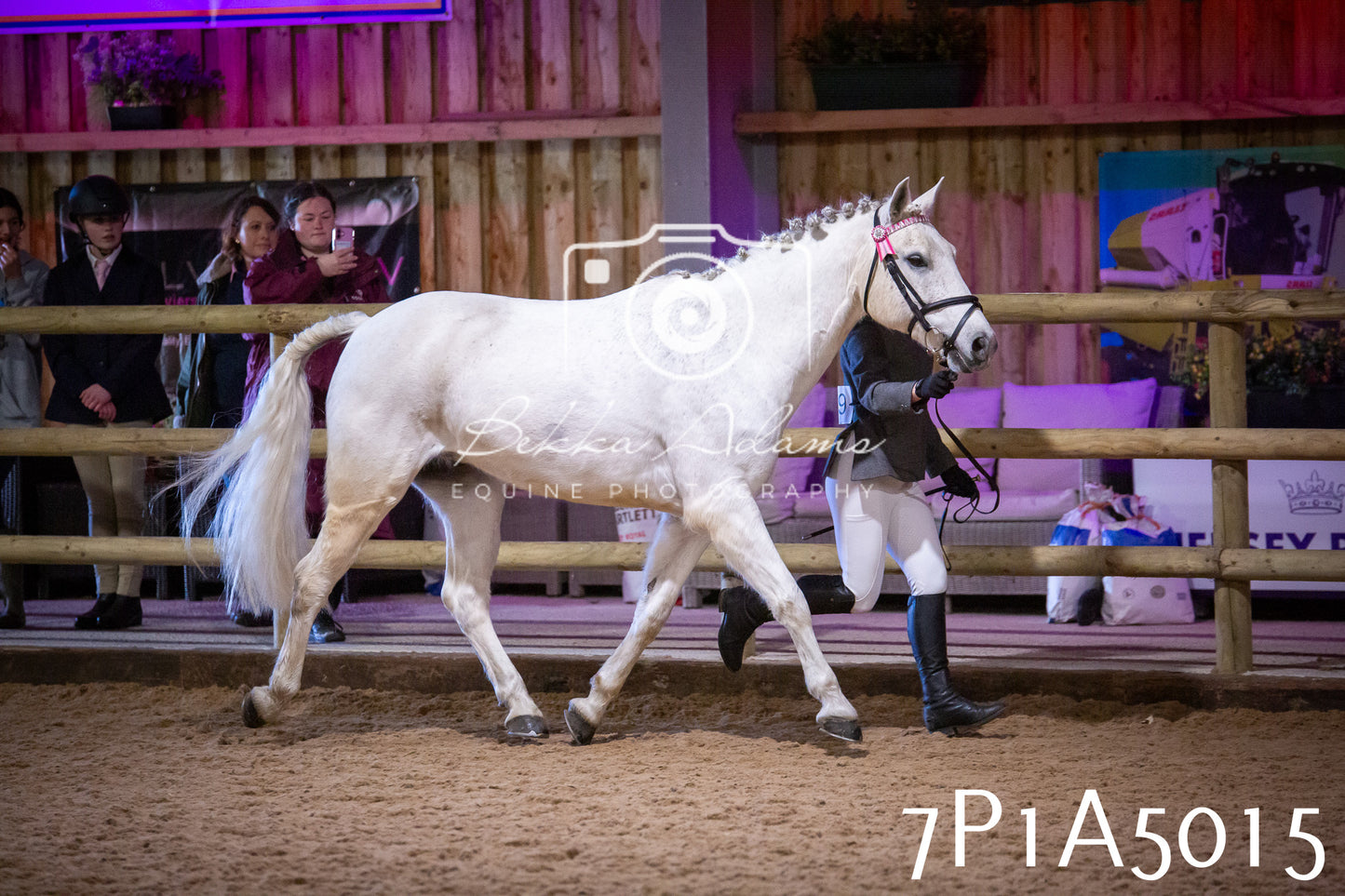 Home Farm Spring Show 2026 - In Hand