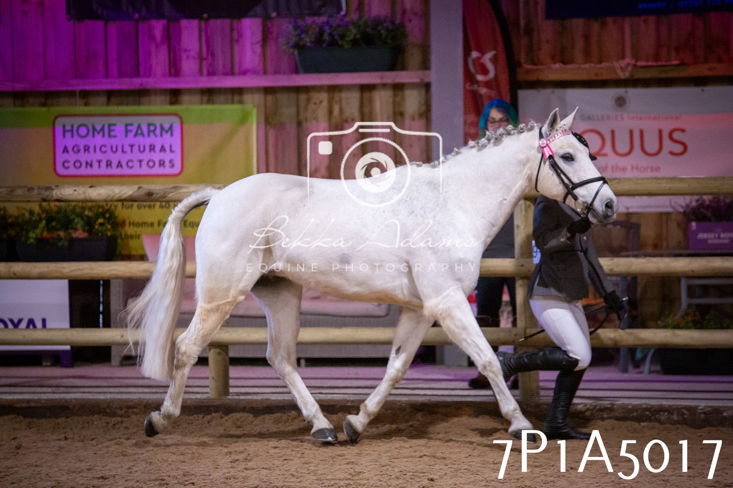 Home Farm Spring Show 2026 - In Hand