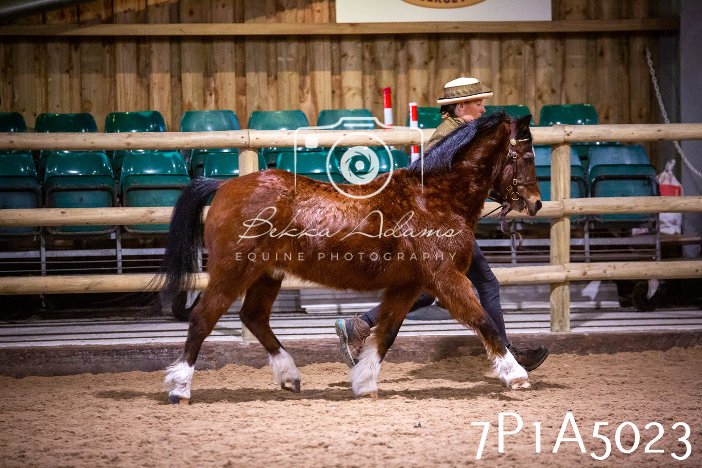 Home Farm Spring Show 2026 - In Hand