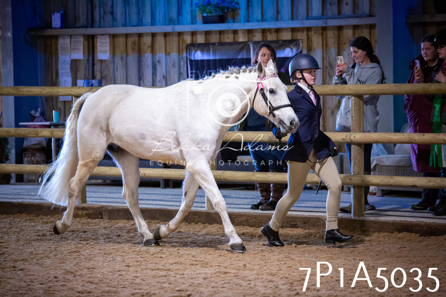 Home Farm Spring Show 2026 - In Hand