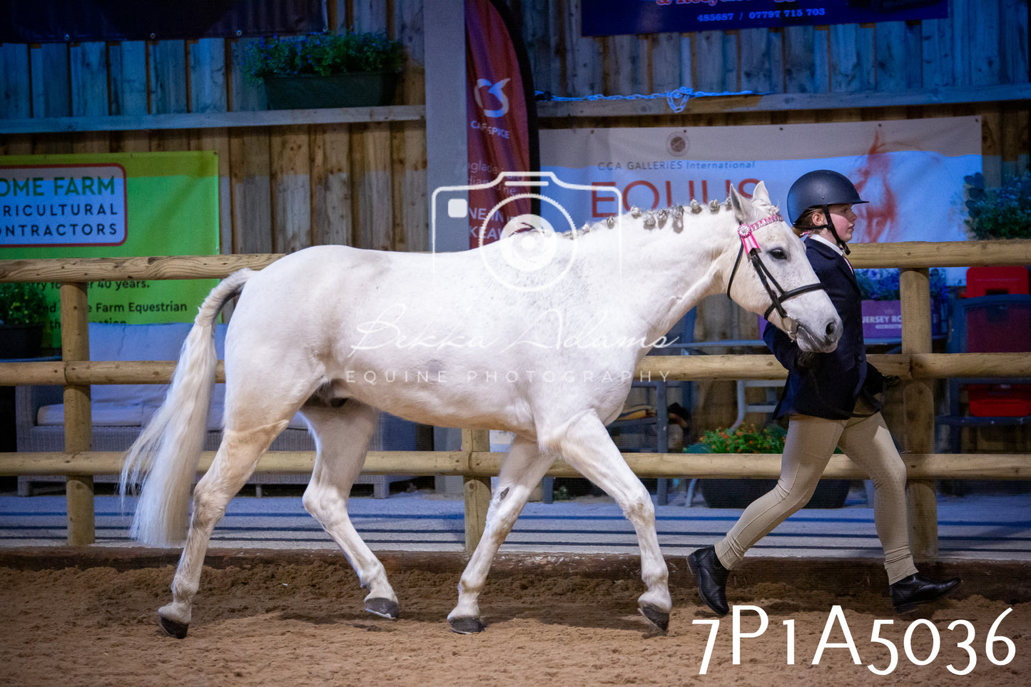 Home Farm Spring Show 2026 - In Hand