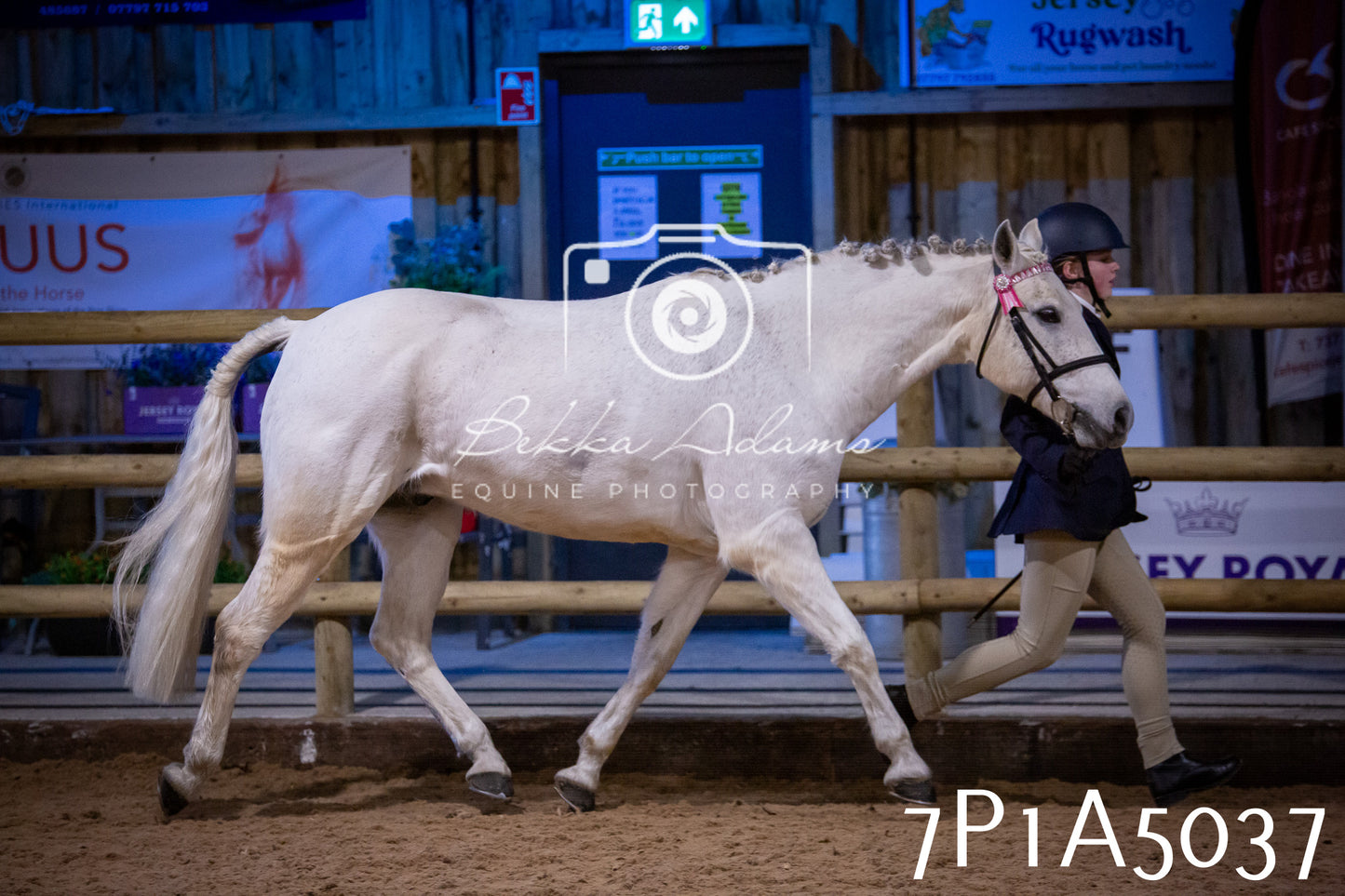 Home Farm Spring Show 2026 - In Hand