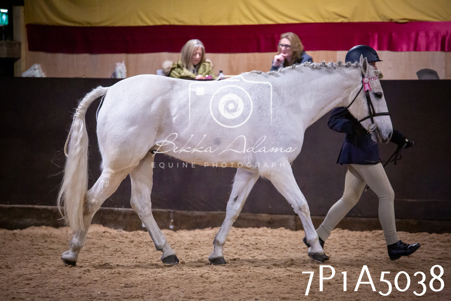 Home Farm Spring Show 2026 - In Hand