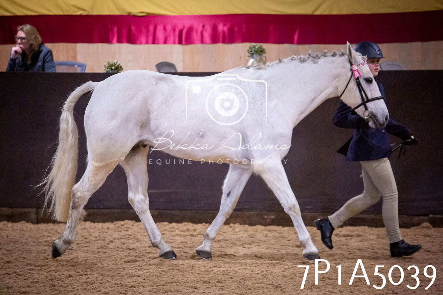 Home Farm Spring Show 2026 - In Hand