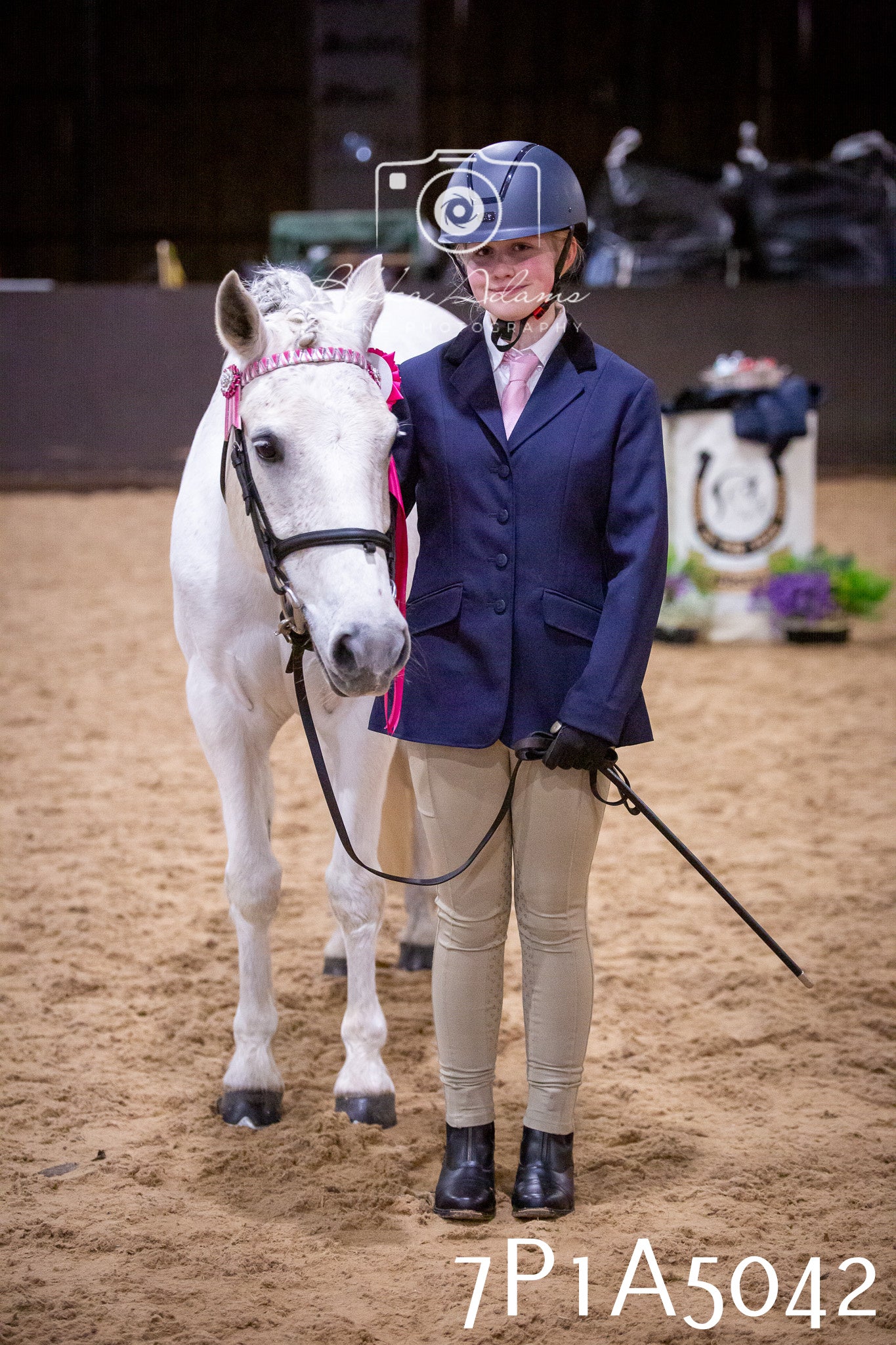 Home Farm Spring Show 2026 - In Hand