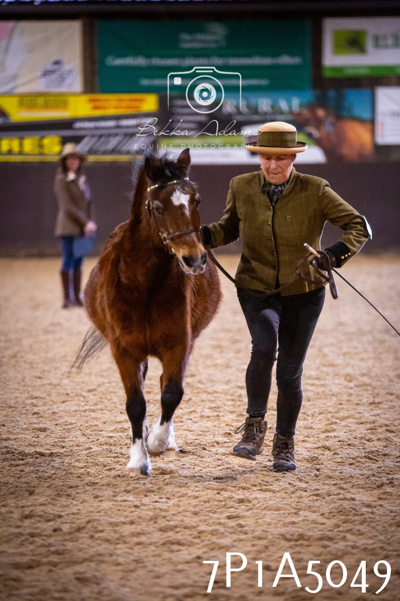 Home Farm Spring Show 2026 - In Hand