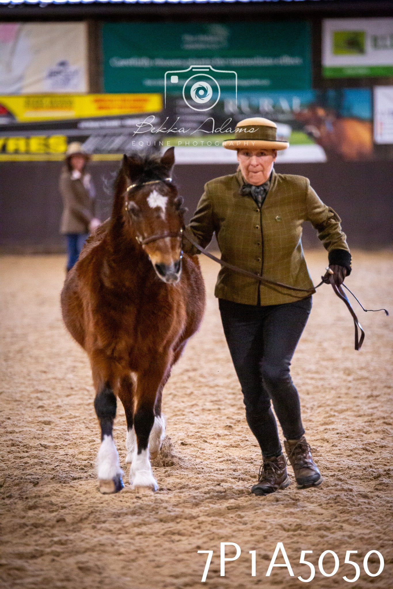 Home Farm Spring Show 2026 - In Hand