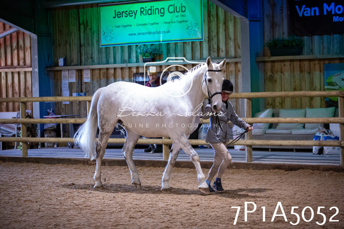 Home Farm Spring Show 2026 - In Hand