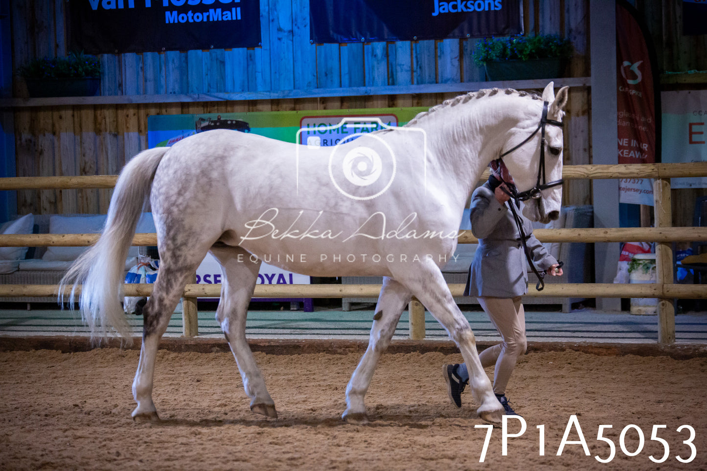 Home Farm Spring Show 2026 - In Hand