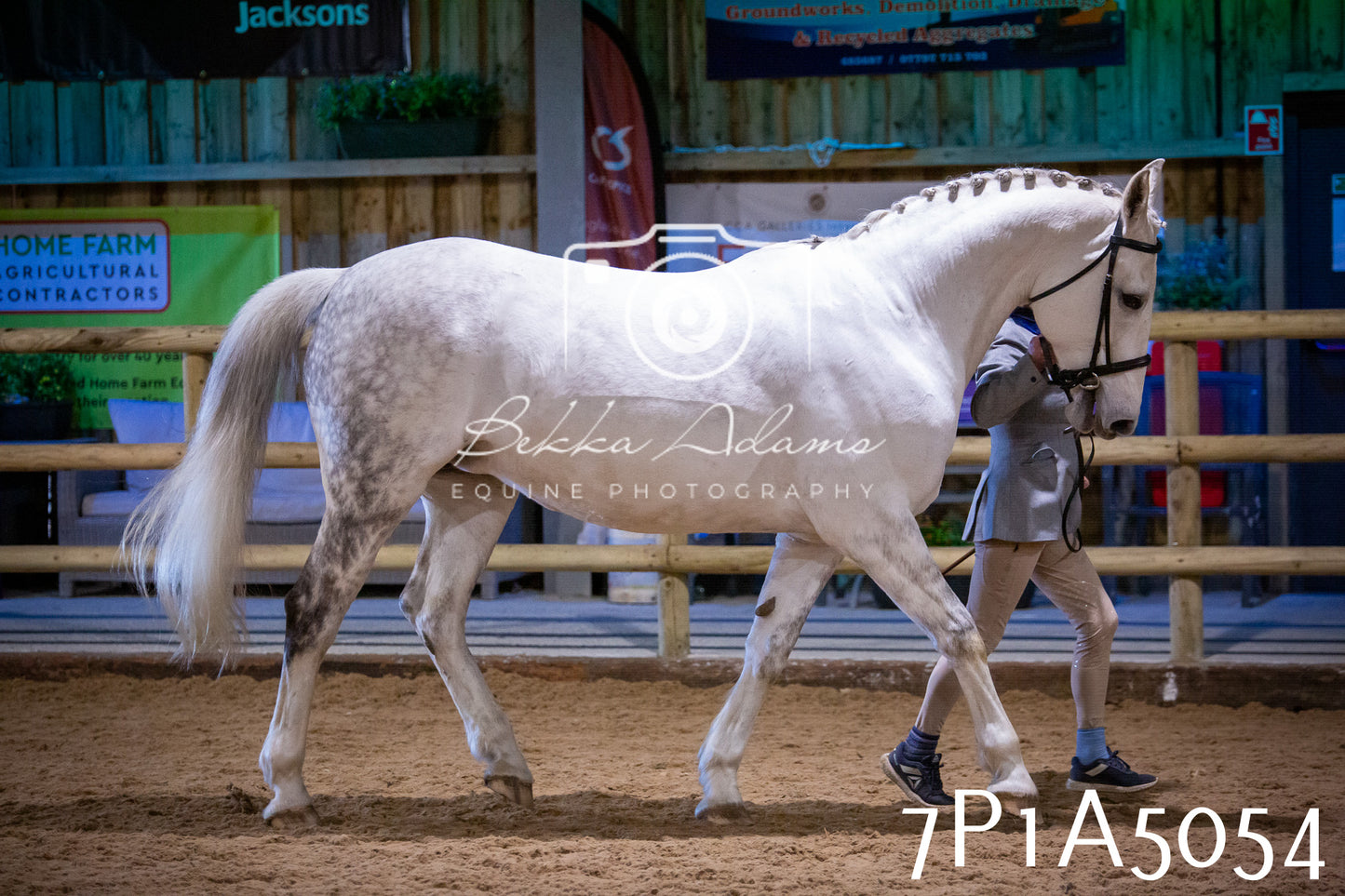 Home Farm Spring Show 2026 - In Hand