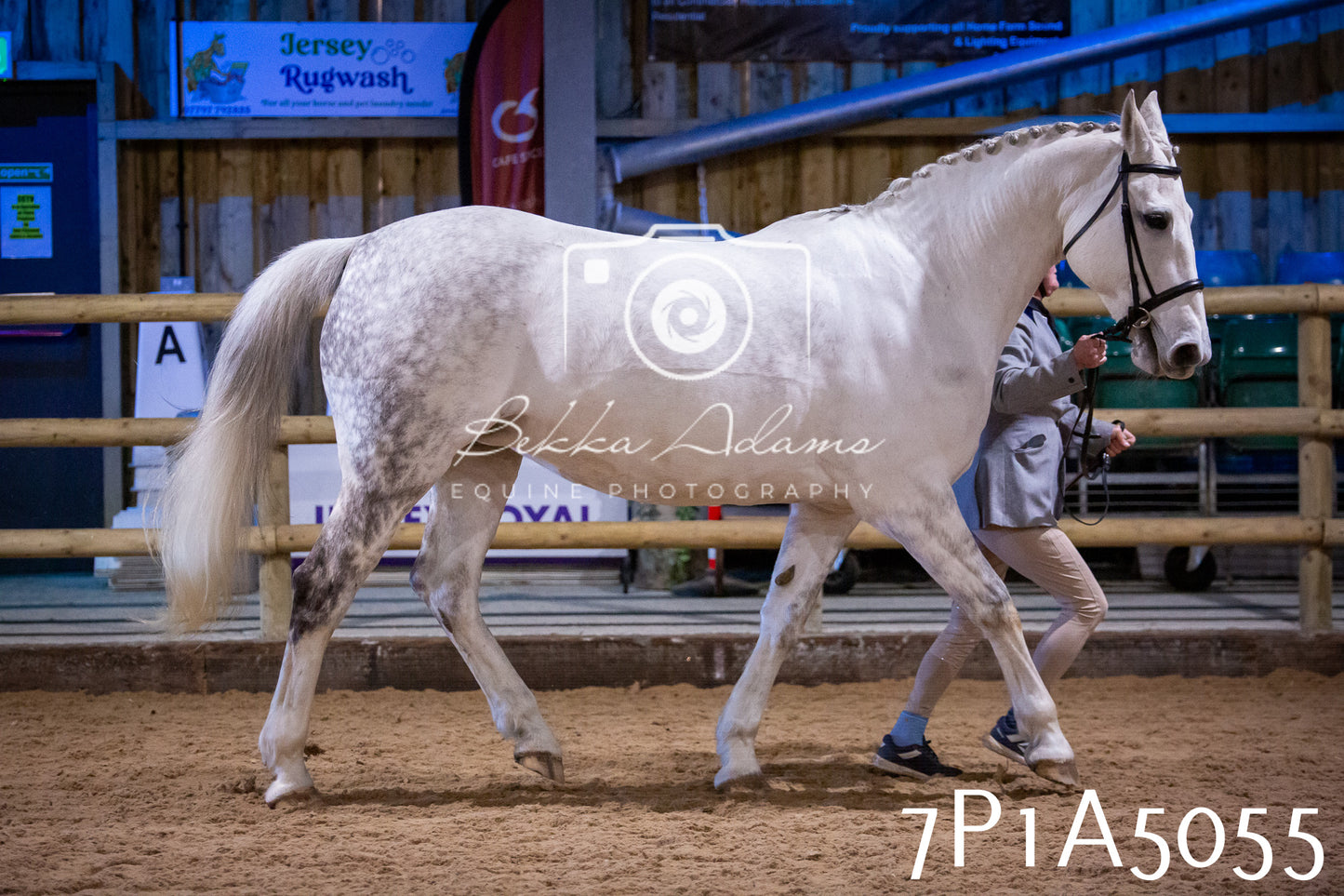 Home Farm Spring Show 2026 - In Hand