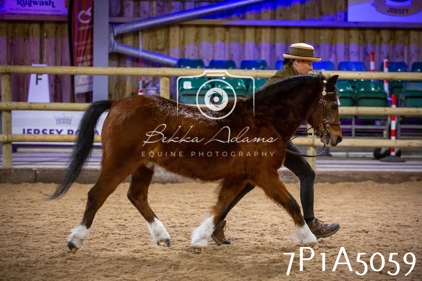 Home Farm Spring Show 2026 - In Hand