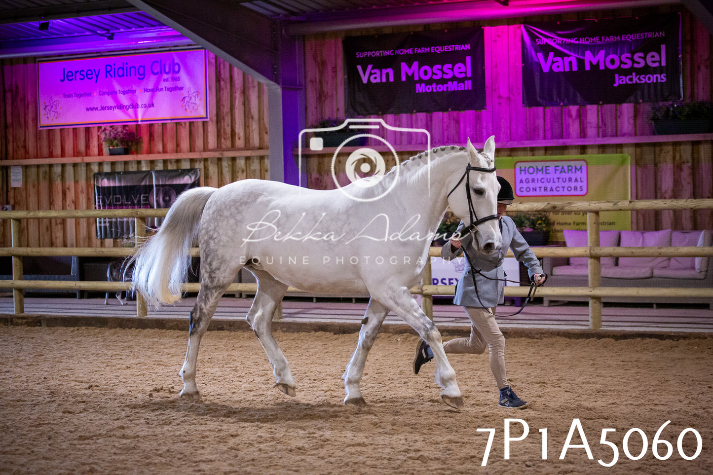 Home Farm Spring Show 2026 - In Hand