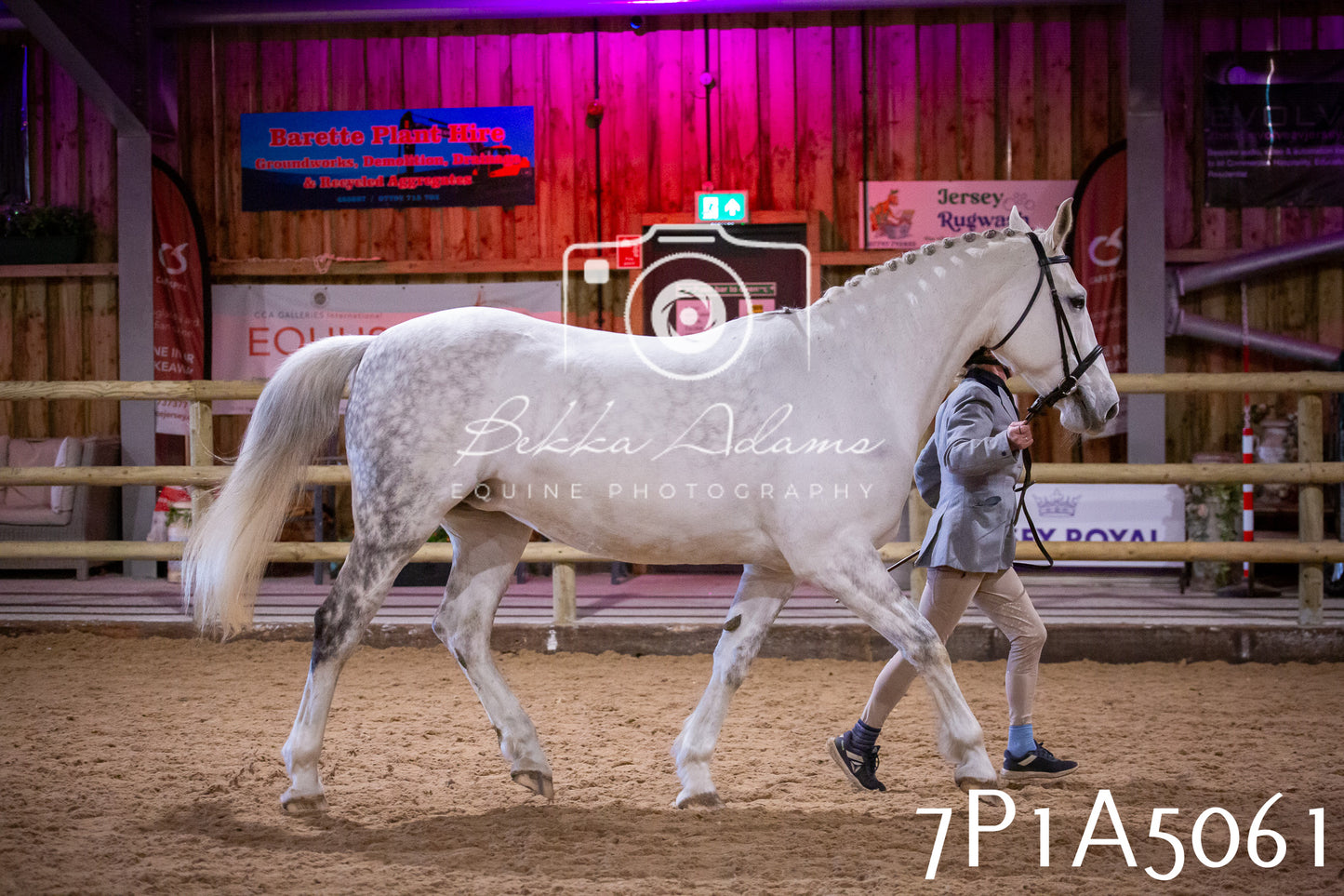 Home Farm Spring Show 2026 - In Hand