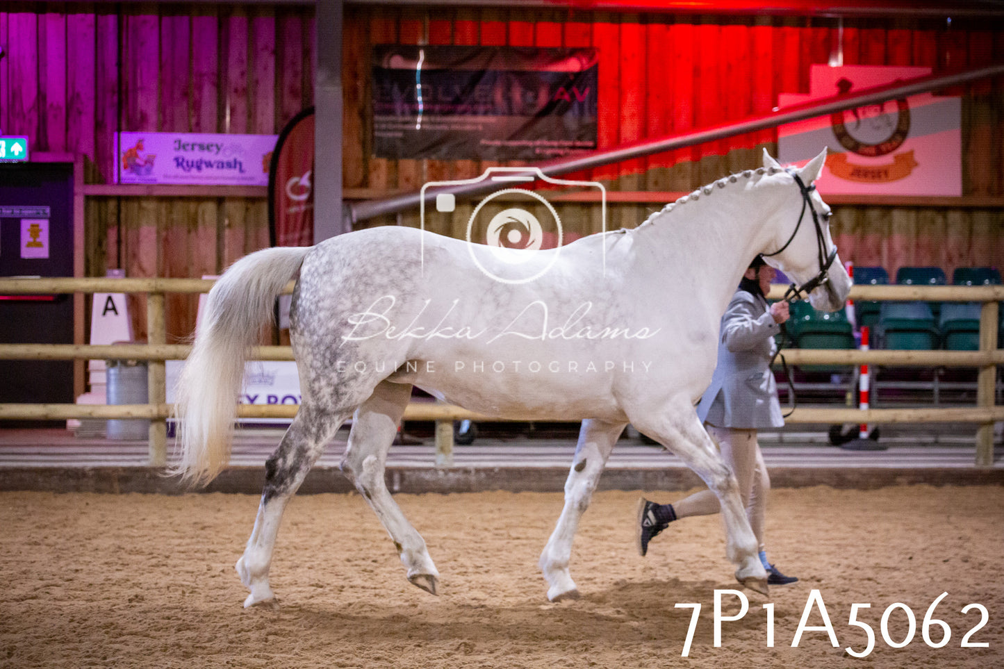 Home Farm Spring Show 2026 - In Hand