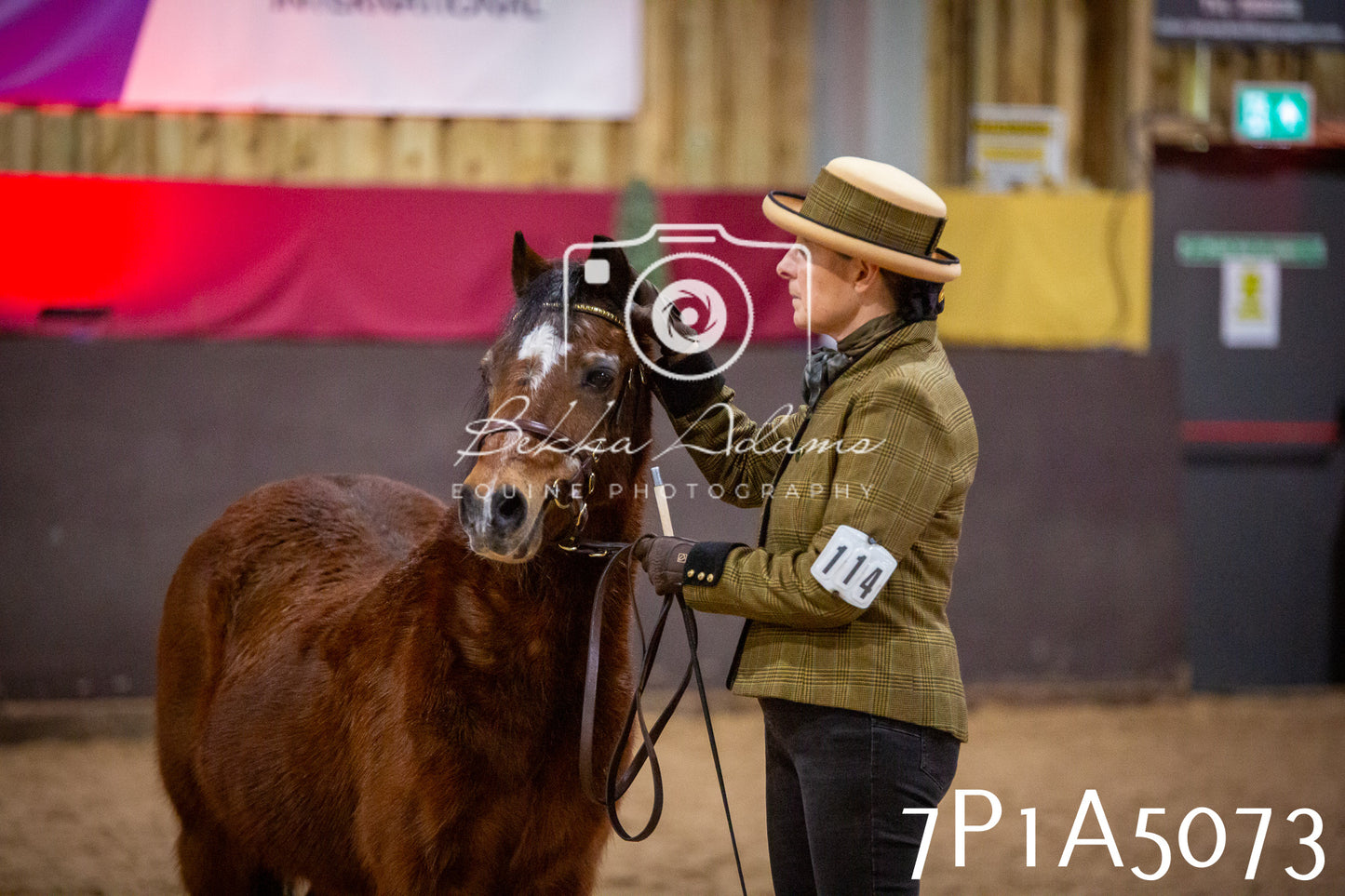 Home Farm Spring Show 2026 - In Hand