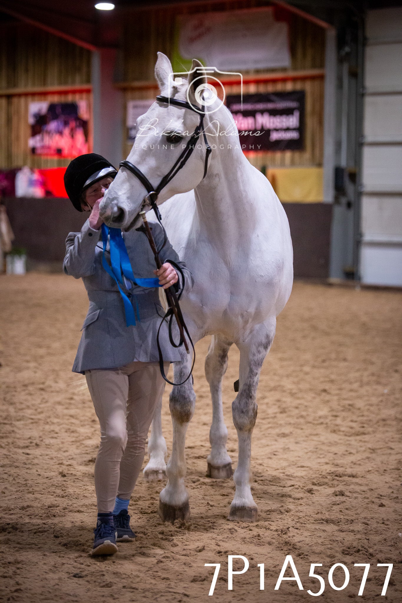 Home Farm Spring Show 2026 - In Hand