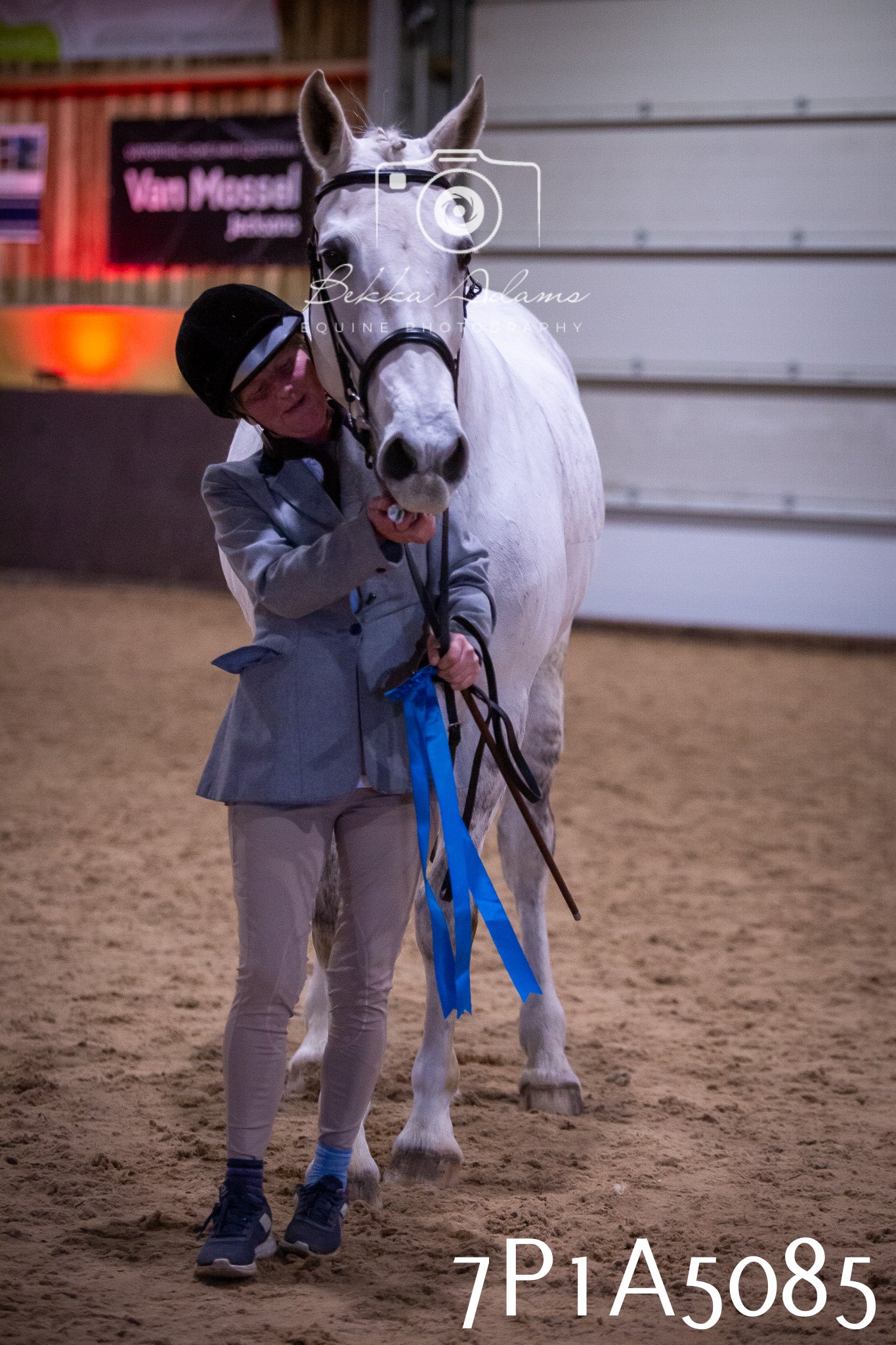 Home Farm Spring Show 2026 - In Hand