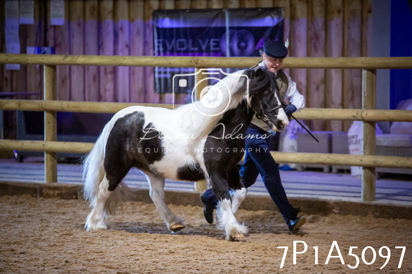 Home Farm Spring Show 2026 - In Hand