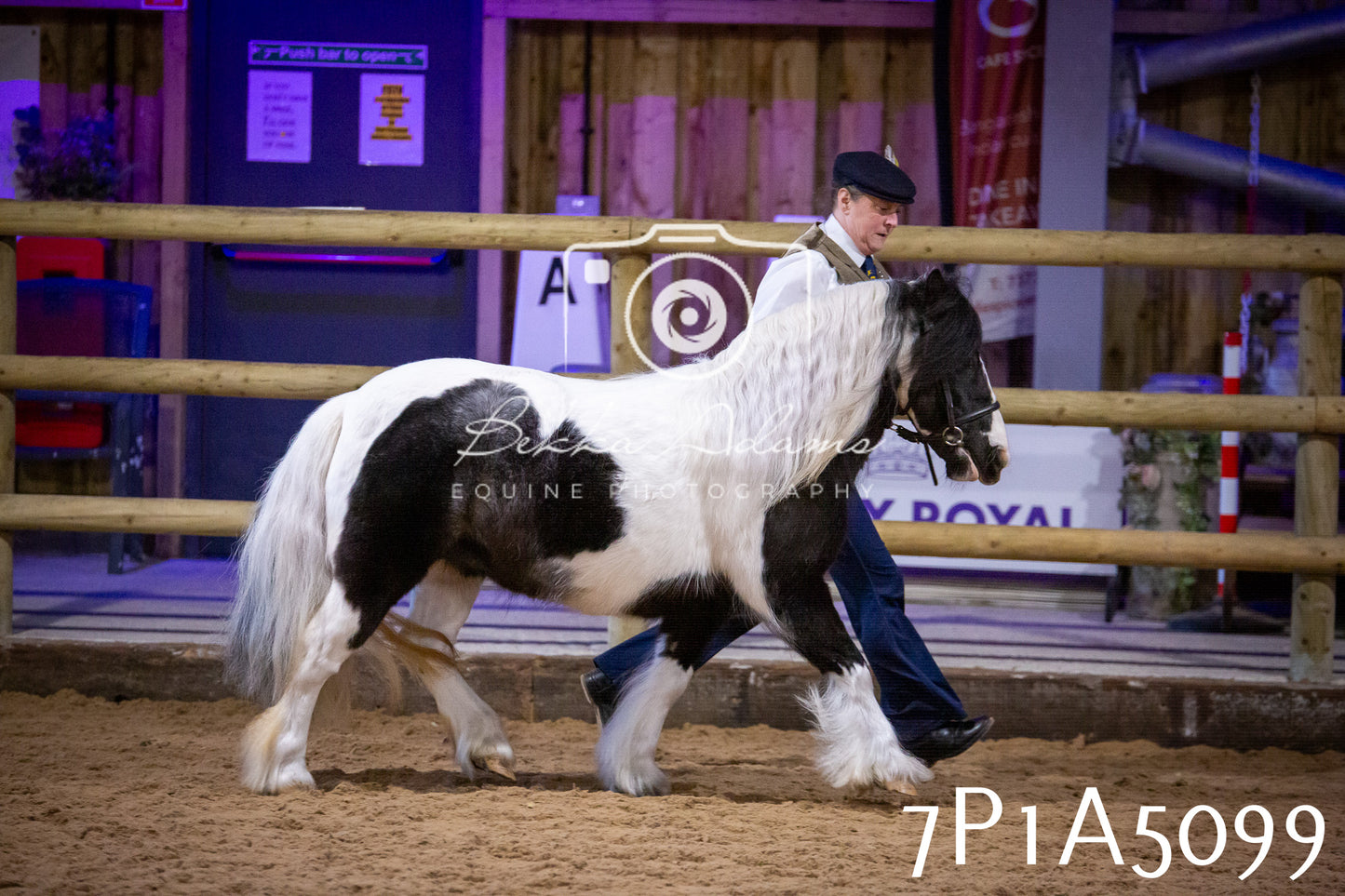 Home Farm Spring Show 2026 - In Hand