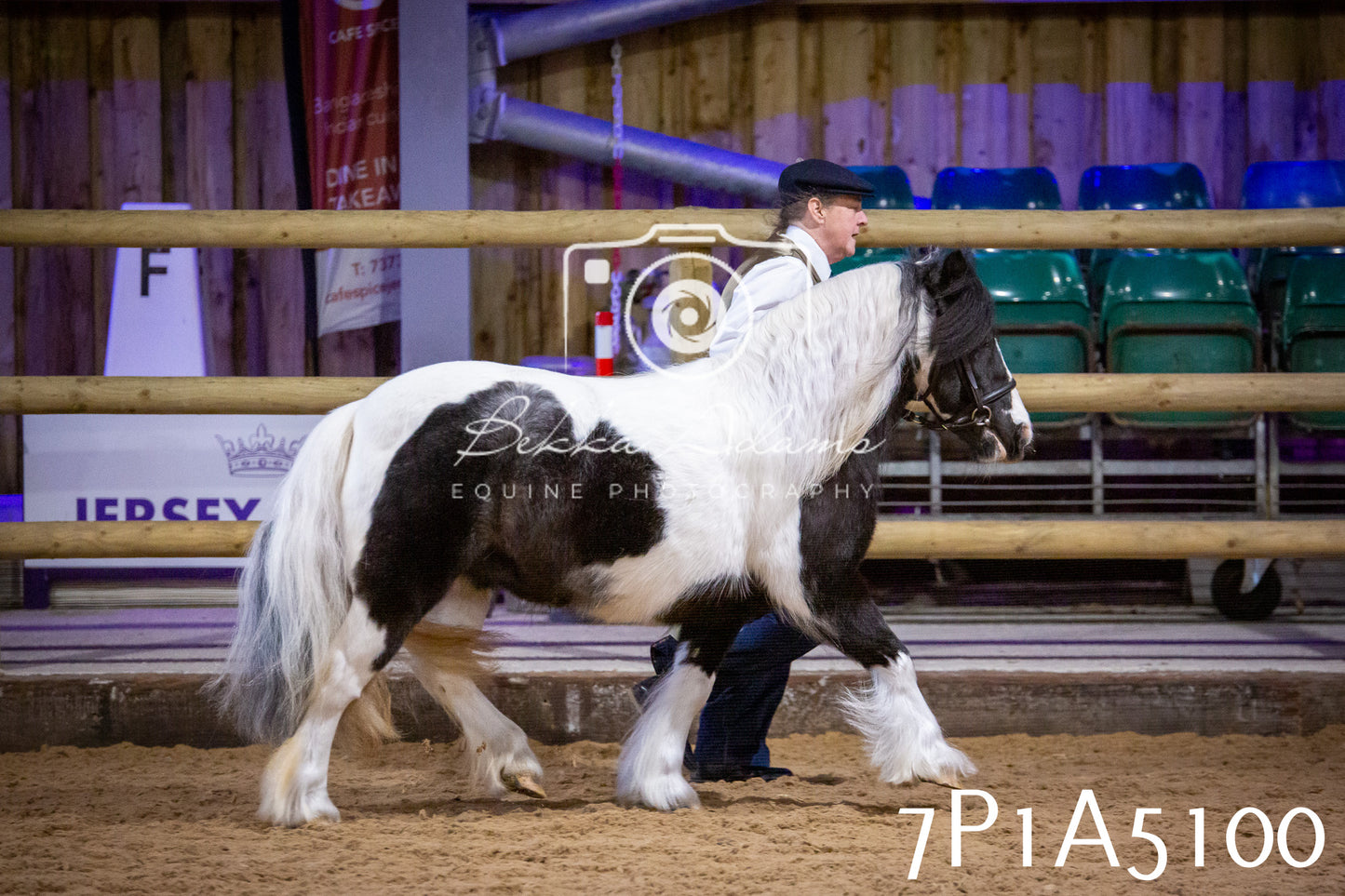 Home Farm Spring Show 2026 - In Hand