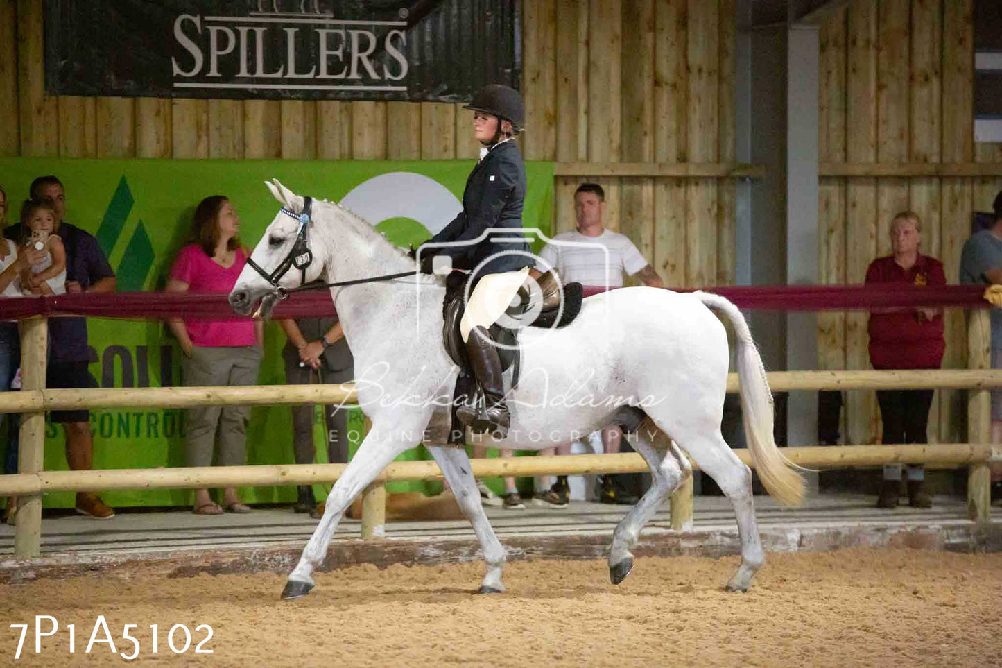 JHOYS 2023 - 10th September - Ridden Showing Pt1