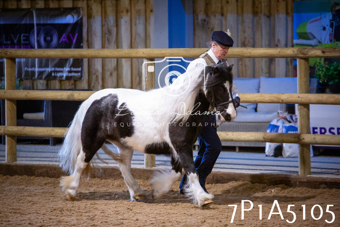 Home Farm Spring Show 2026 - In Hand