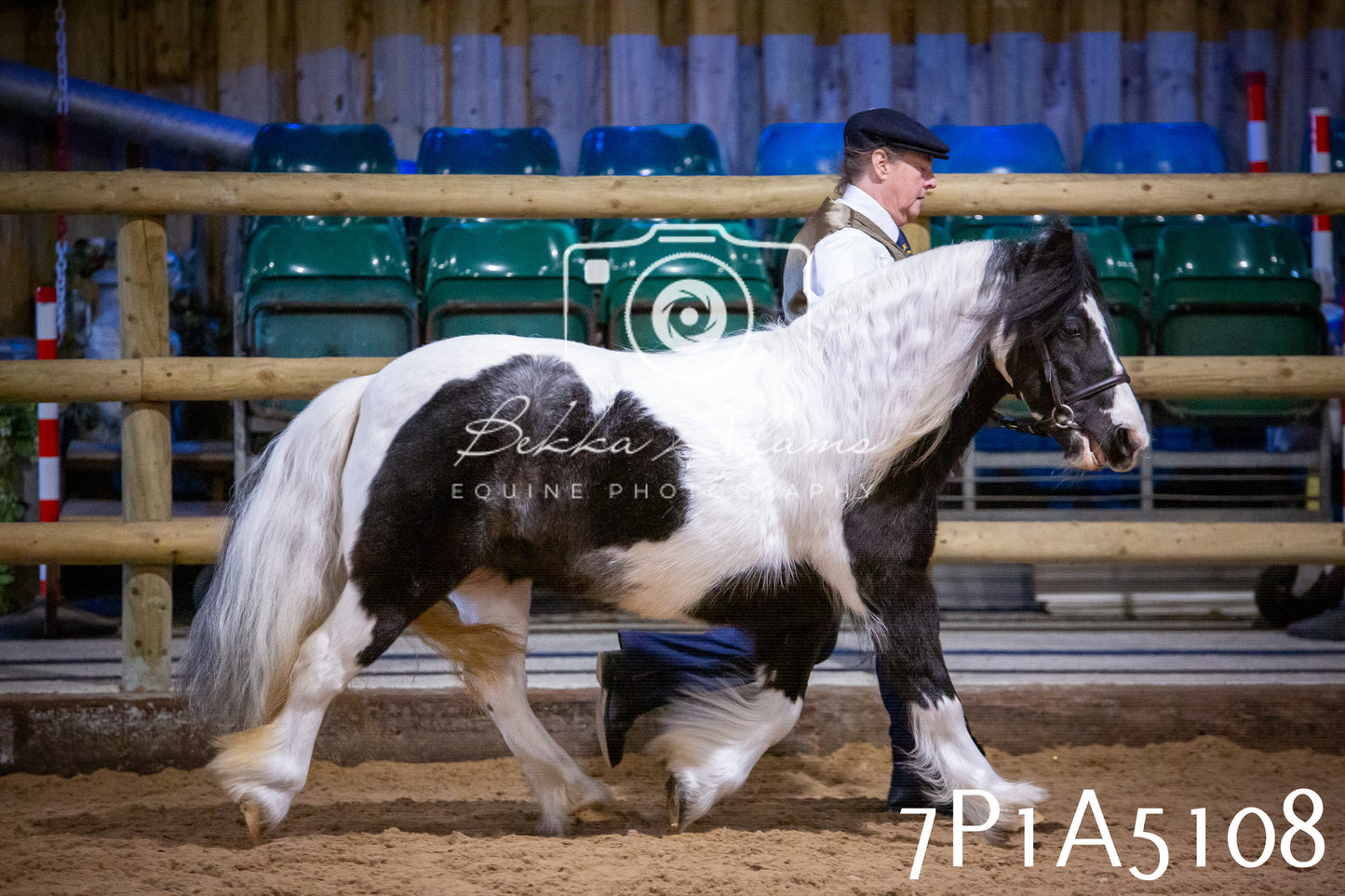 Home Farm Spring Show 2026 - In Hand