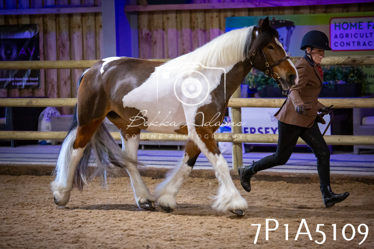 Home Farm Spring Show 2026 - In Hand